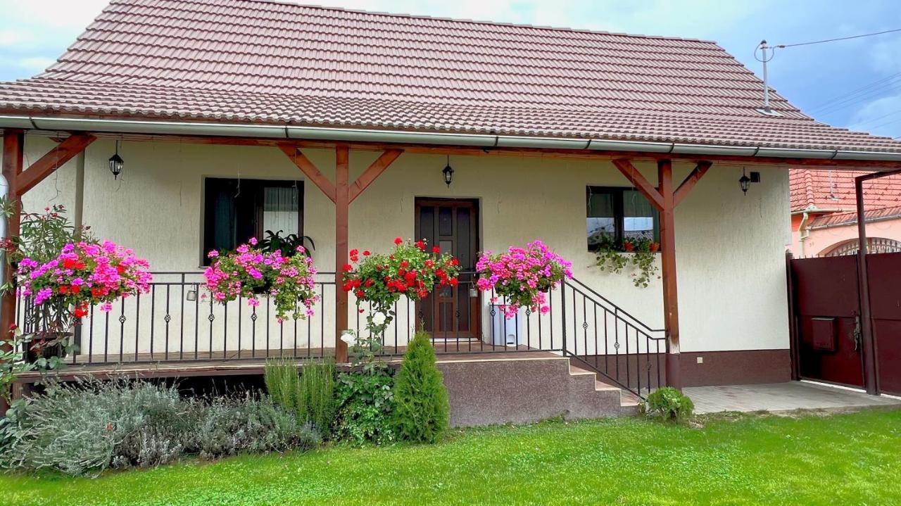 Villa Siebenbuerger Haus Hermannstadt Exterior foto
